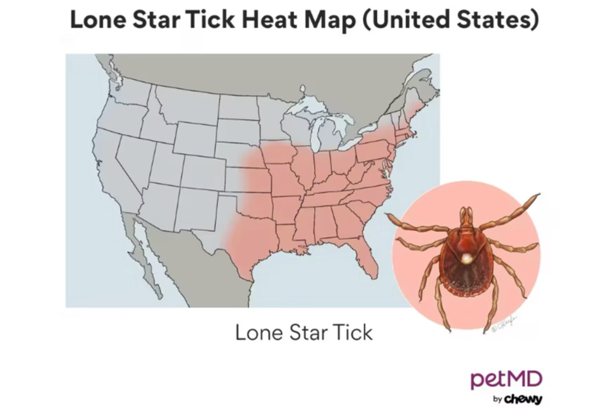 lone star tick heat map